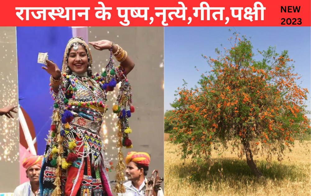 राजस्थान के पुष्प-नृत्ये-गीत-पक्षी
